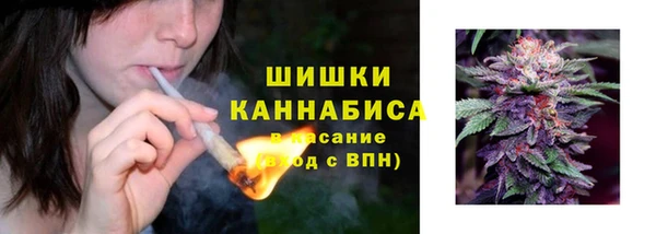 стафф Инсар